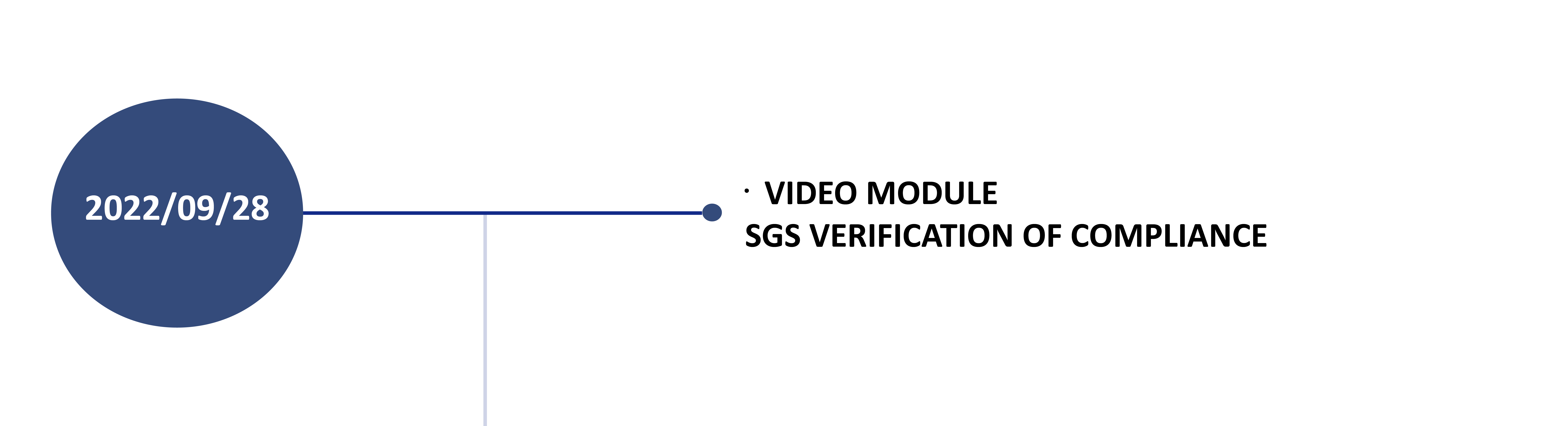 Video module
